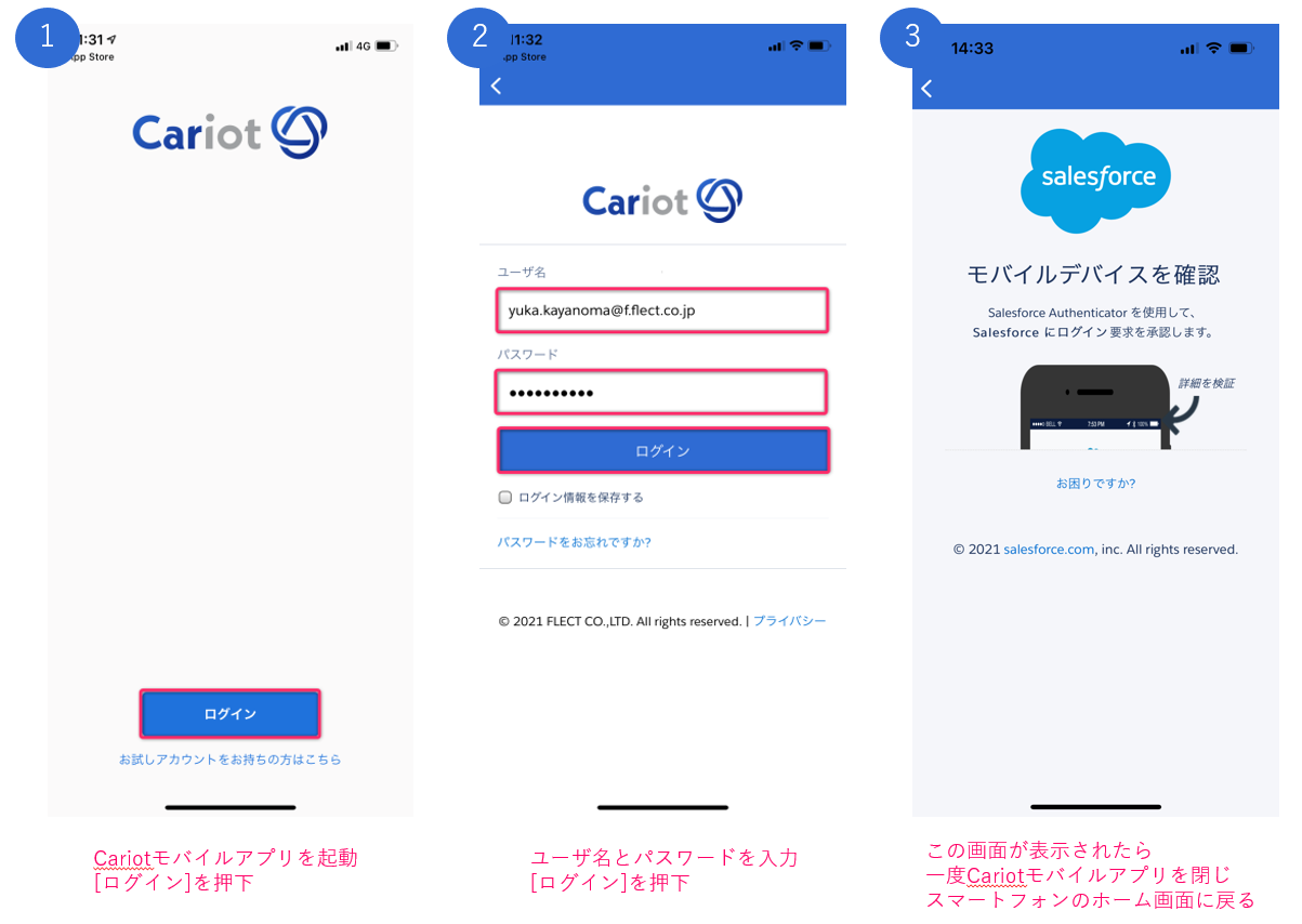 Cariot___________________MFA_____6.png
