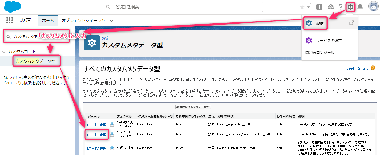 DriveCastSearch_____________1.png