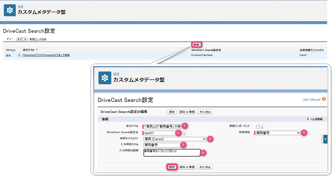 DriveCastSearch_____________2.png